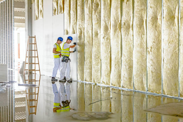 Best Insulation Installation Services in Oxon Hill, MD